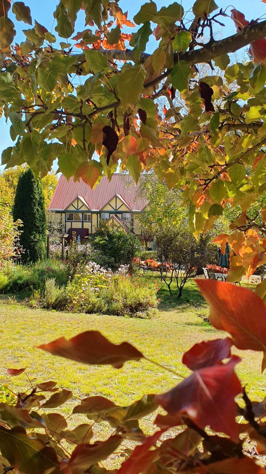 Oaktree Guest House Narbethong Buitenkant foto