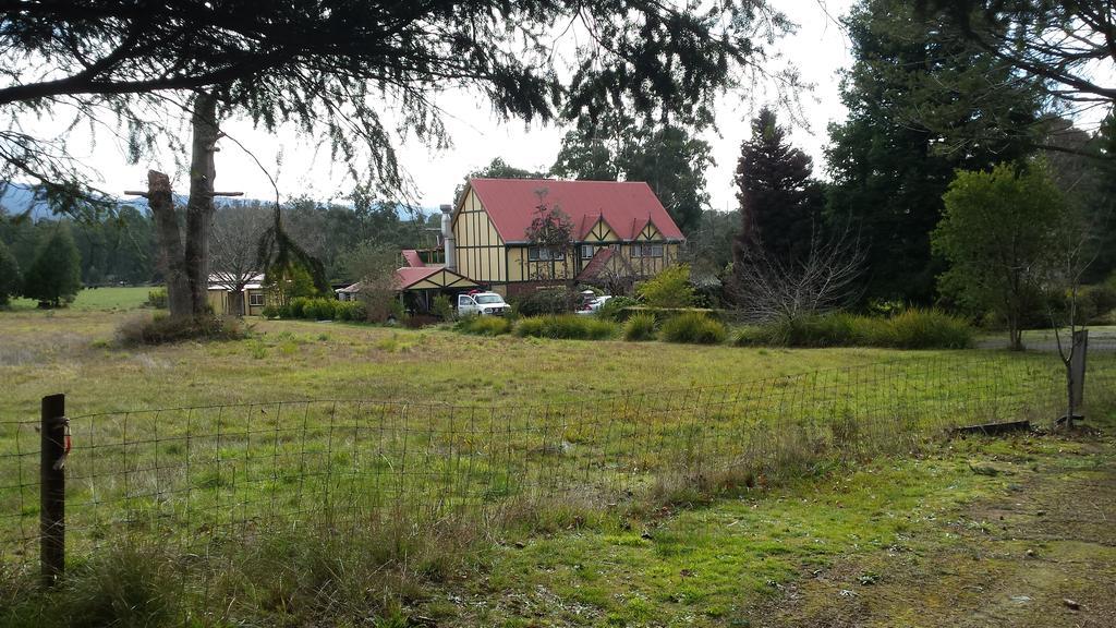 Oaktree Guest House Narbethong Buitenkant foto